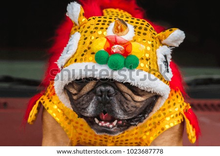 French bulldog in Chinese lion costume, Chinese New Year concept