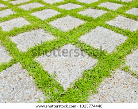 Close-up square concrete walk way with grass.