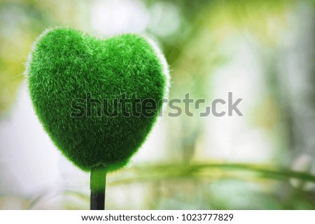 Tree of love./Green heart on nature background.