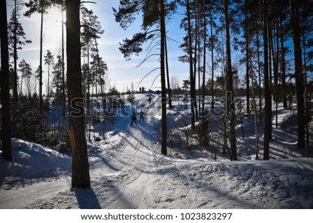 Sunny sky track in forest with skiers