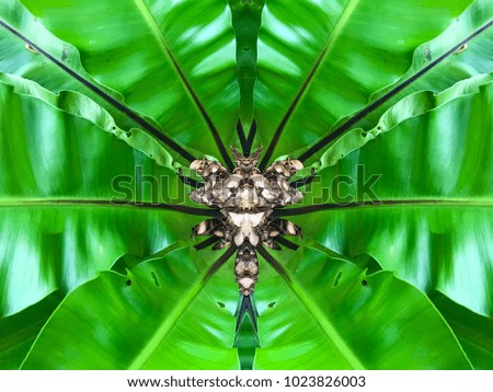 Green Leaf design, Creative leaf