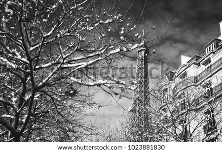 Paris under snow. Eiffel tower. Snowy park.  Black and white photo.