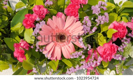 The closed up pink flower bouquet with green leafs. The picture concepts are gift, design, giving, love, valentine, congrats.