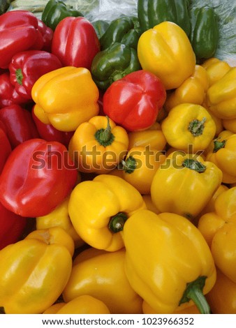 Colored bell peppers for sale