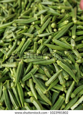 Indian Okra for sale