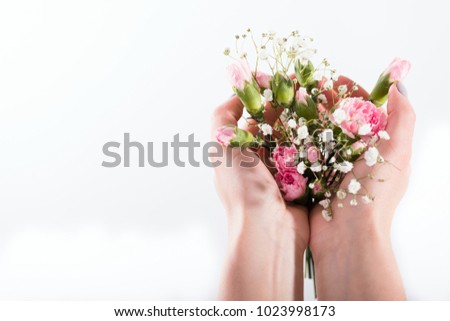 Hands are holding tender bouquet of carnations. Close up photo. Macro.
