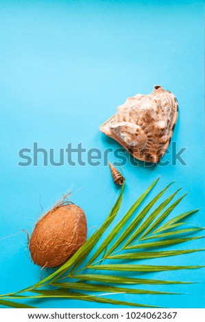 tropical paradise concept: big tropical sea shell on a turquoise background with a palm tree leaf. negative space. concept: big tropical sea shell on a turquoise background. negative space.