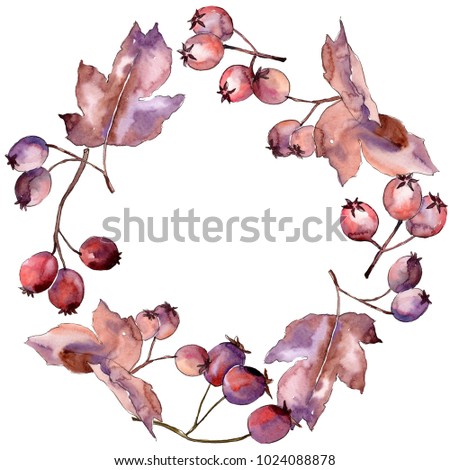 Leaves of hawthorn wreath in a watercolor style. Aquarelle leaf for background, texture, wrapper pattern, frame or border.
