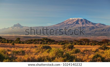 arid dry African savanna in late evening with Mount Kilimanjaro, highest peak i Africa. Amboseli National Park, Kenya Royalty-Free Stock Photo #1024140232