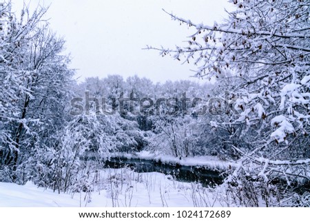 River at snowy forest