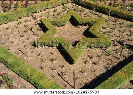 The 6-pointed Star of David in garden at the Alhambra, Granada, Spain
