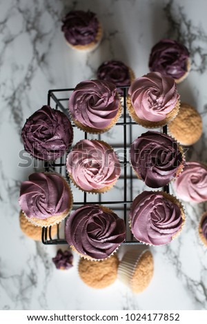 Set of pink and purple cupcakes