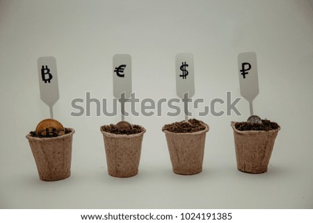 different currency in pots for seedlings. Bitcoin, euro and dollar.