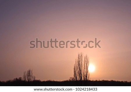 Orange sky with fog at sunset above the forest. Natural impressionism.