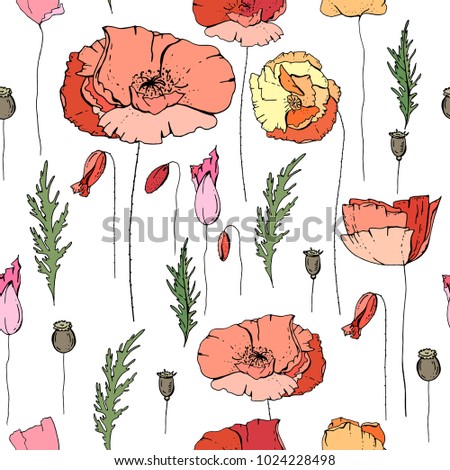 Seamless floral pattern with romantic poppy flowers. Endless texture for elegant floral and season design