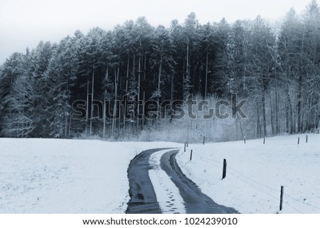 footsteps on a snow covered street at countryside