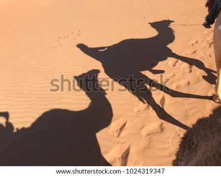 Camel Shadow sand