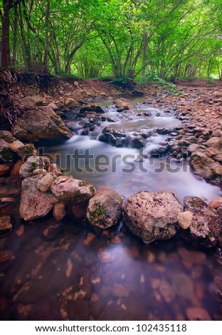 Mountain forest river with rapids