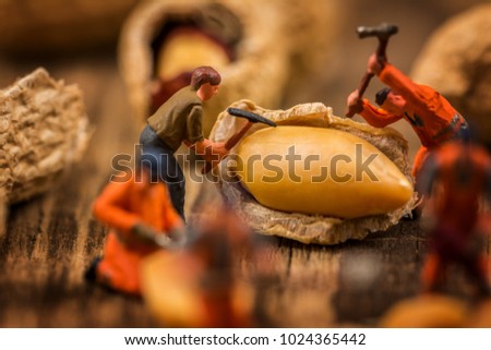 Miniature figures working on peanuts macro photography on wood table