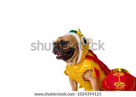 French bulldog in Chinese lion costume on white background, Chinese New Year concept