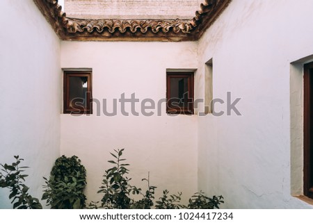 Old courtyard or patio in the jewish quarter of Cordoba with white walls decorated with plants.