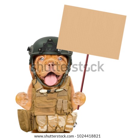 Funny puppy in protective helmet and  tactical vest holds blank banner mock up on wood stick. isolated on white background