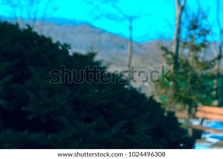 The blur background forest landscape Nature. Defocusing