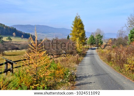 Rural road and autumn  landscape, Beskid Niski, Poland