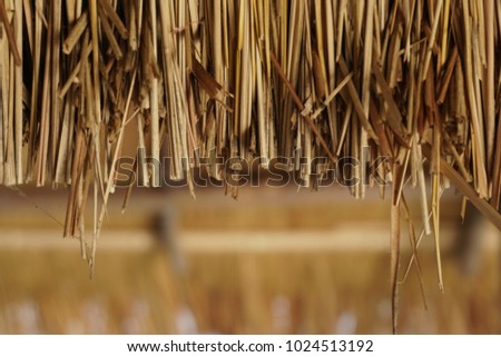Straw Roof Sea Background.