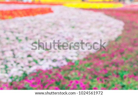 Marigolda flowers yellow green red blurred abstract background in garden