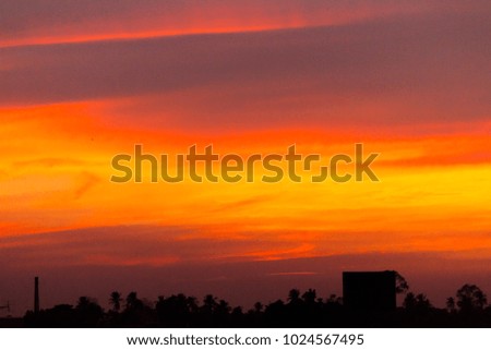 orange sky and tree at sunset
