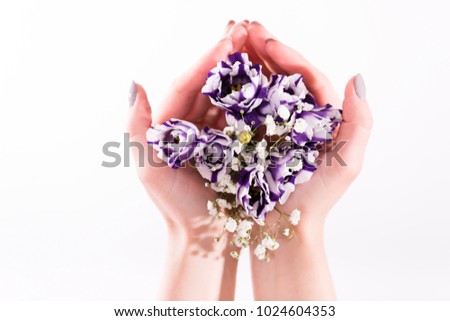 Hands are holding tender bouquet of purple Eustoma. Close up photo. Macro. Isolated on white background