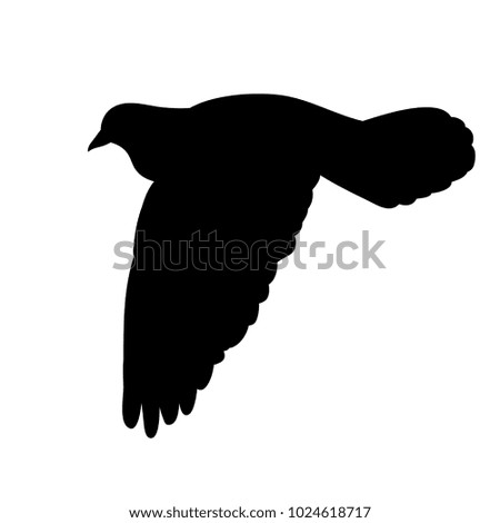 isolated, silhouette of a flying bird on a white background