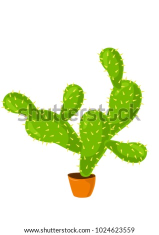 A big cactus in pot