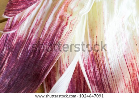 Close up of purple corn husk. Corn husk texture for background.