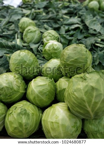 Cabbage from a market