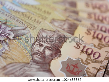 100 dollar bank note of Brunei. with extremely closeup, copy space ( Brunei currency )