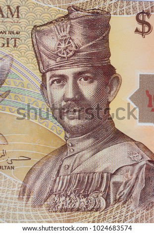 100 dollar bank note of Brunei. with extremely closeup, copy space ( Brunei currency )
