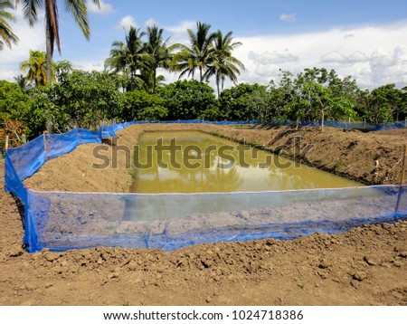 This picture show earth pond of Freshwater fish at Aquaculture farm 