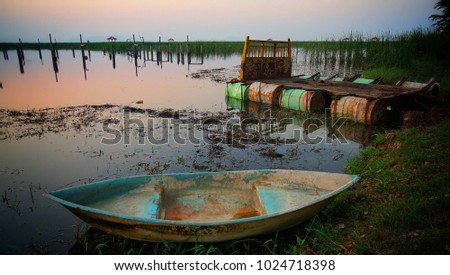 little boat in the wetland