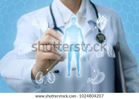 Doctor shows a hologram and the internal organs of a person. Royalty-Free Stock Photo #1024804207