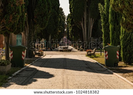 avenue thru the graveyard of Venice Italy, great park ways