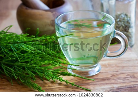 A cup of horsetail tea with fresh horsetail twigs Royalty-Free Stock Photo #1024830802
