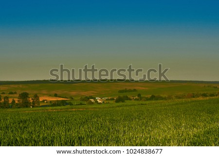 Morning sunrise at green grass farm on the hill. Farming agriculture. Nature landscape background.