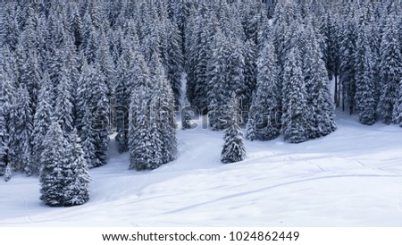 Woods and fields covered by snow in the mountains. Idilliac landscape.