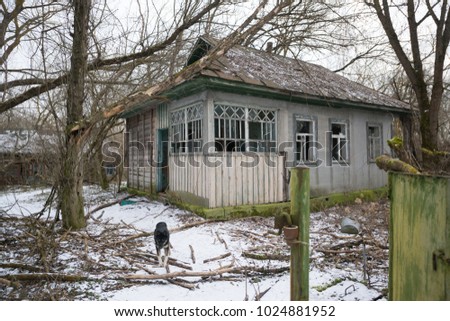 Abandoned building in Chernobyl exclusion zone, Ukraine