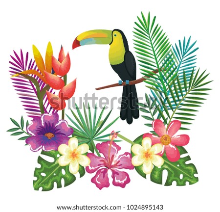 tropical and exotics flowers with toucan