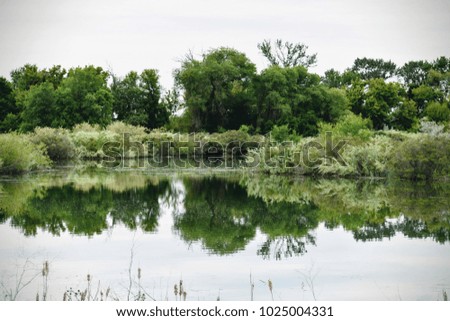 A pond in idaho