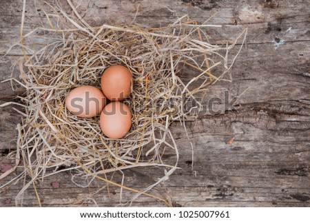 Tree eggs placed on straw on old wooden board