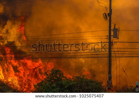 Forest fire and smoke  along the highway, adjacent to the power poles and transformers.